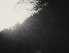 Circular Rays of Sun
