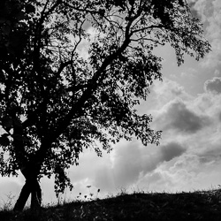 Project 365