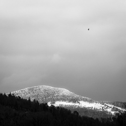 Project 365