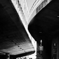 Project 365