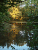 Westwood Pond