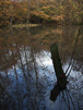 Westwood Pond