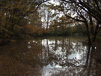 Westwood Pond