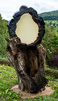 Equinox 22